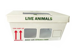 定制河南中空板需要注意什么  